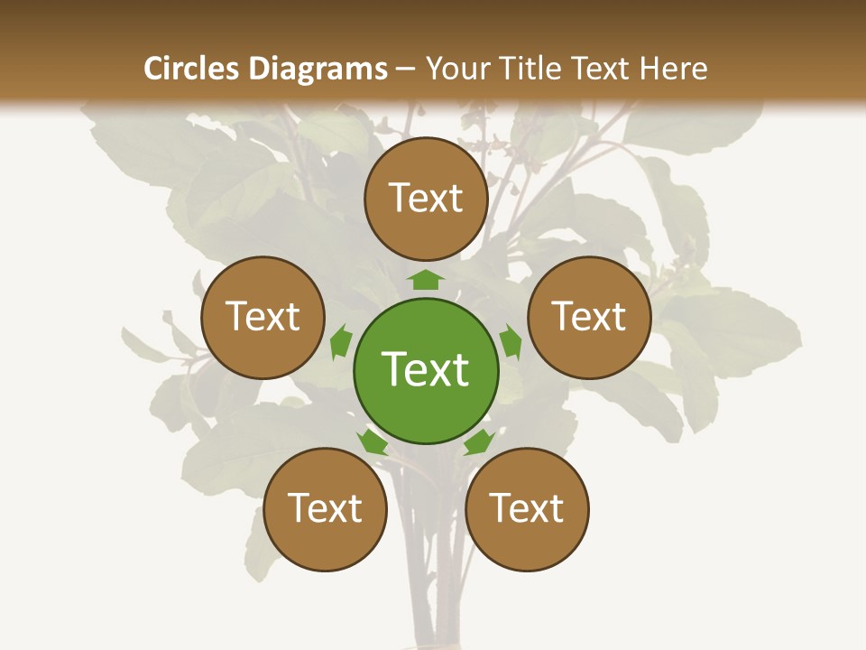 Ayurvedic Stem India PowerPoint Template