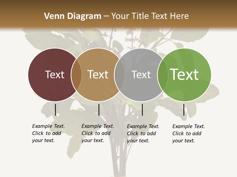 Ayurvedic Stem India PowerPoint Template