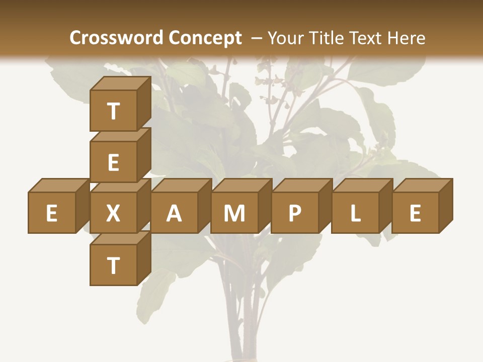 Ayurvedic Stem India PowerPoint Template