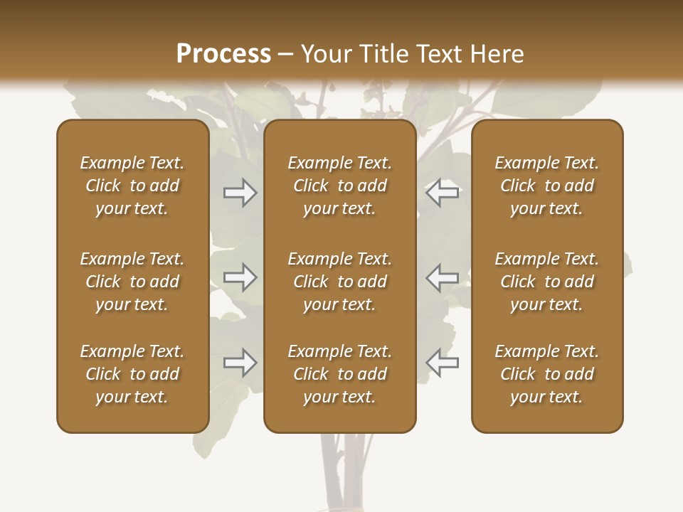Ayurvedic Stem India PowerPoint Template