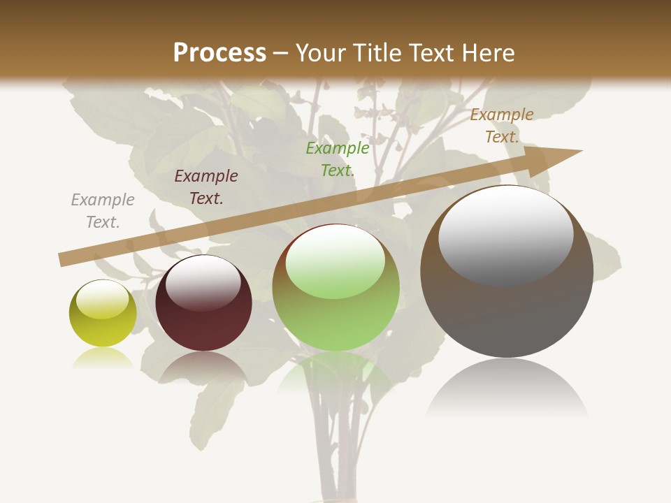 Ayurvedic Stem India PowerPoint Template