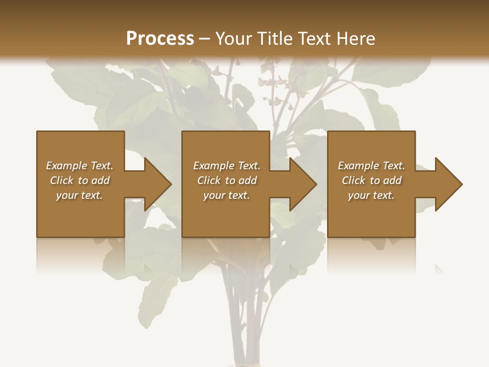 Ayurvedic Stem India PowerPoint Template