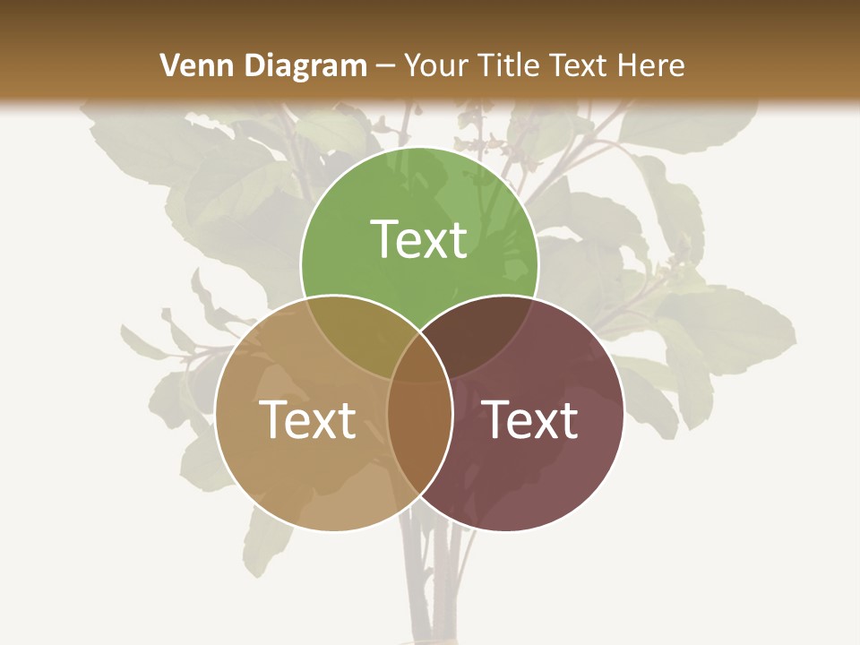 Ayurvedic Stem India PowerPoint Template