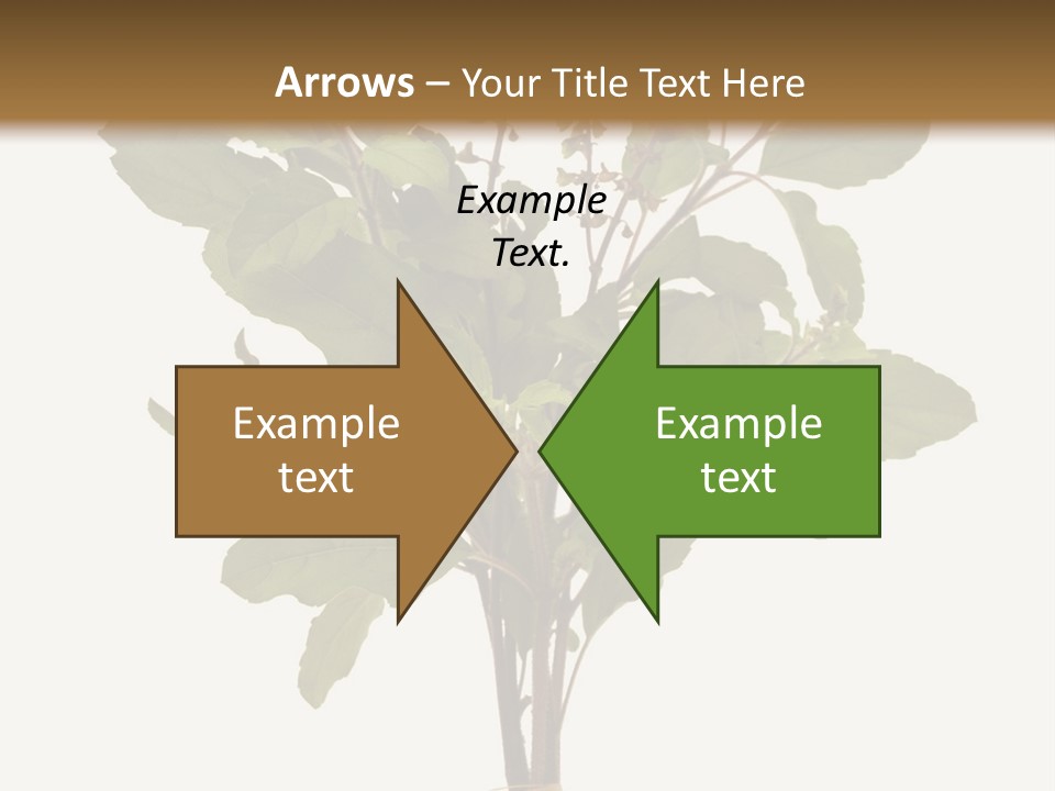 Ayurvedic Stem India PowerPoint Template