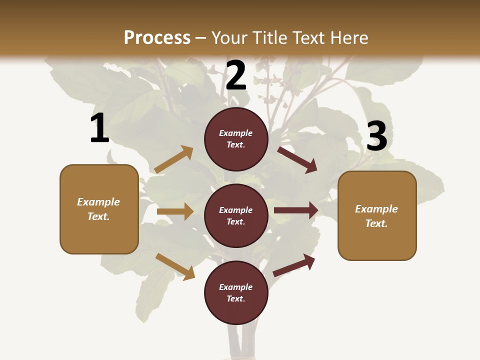 Ayurvedic Stem India PowerPoint Template