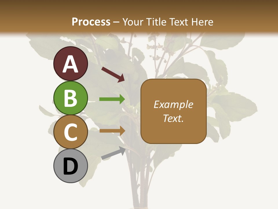 Ayurvedic Stem India PowerPoint Template