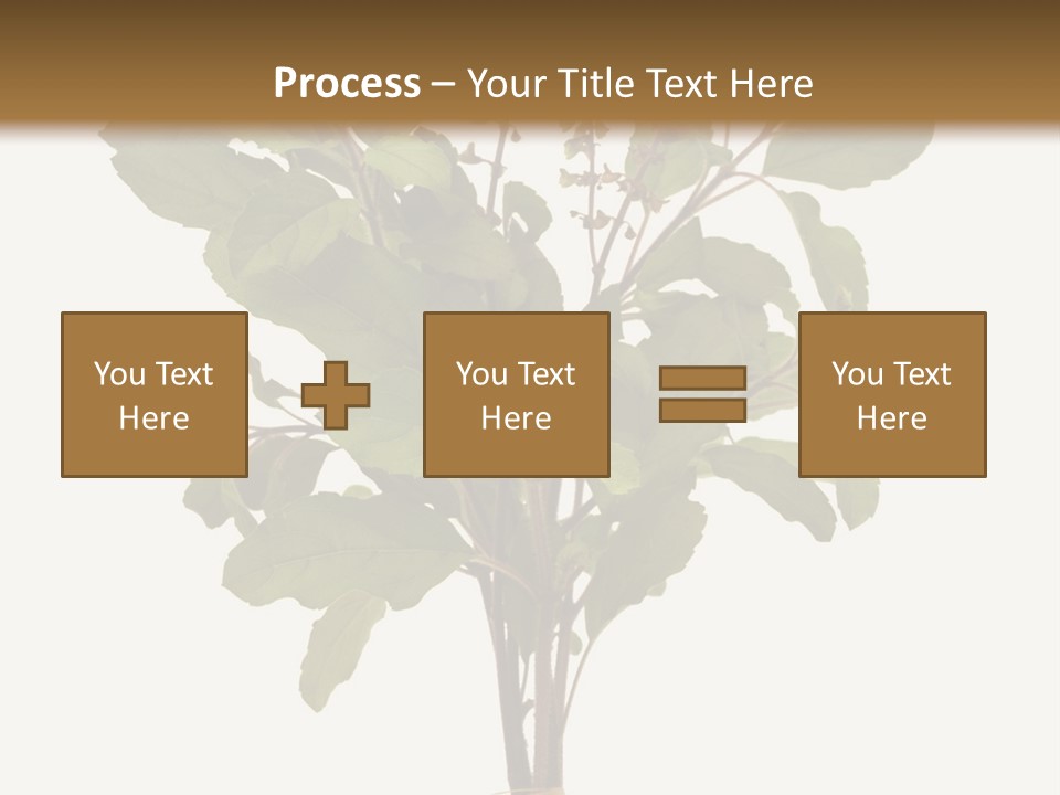 Ayurvedic Stem India PowerPoint Template