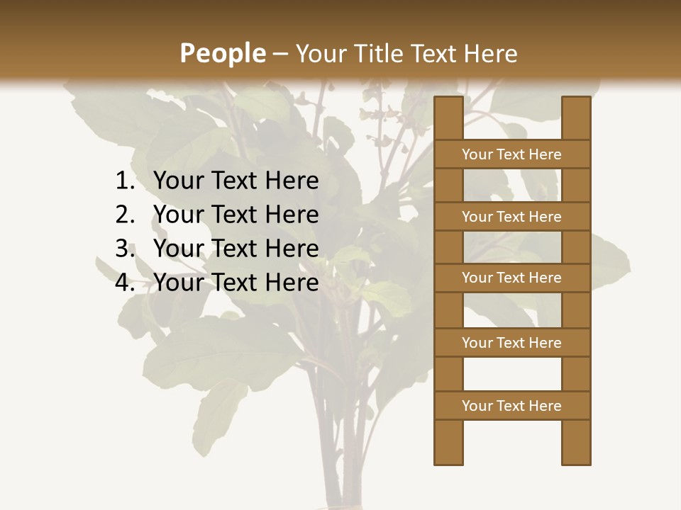 Ayurvedic Stem India PowerPoint Template