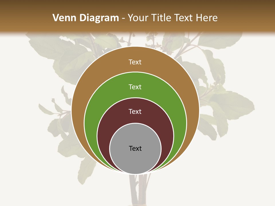 Ayurvedic Stem India PowerPoint Template