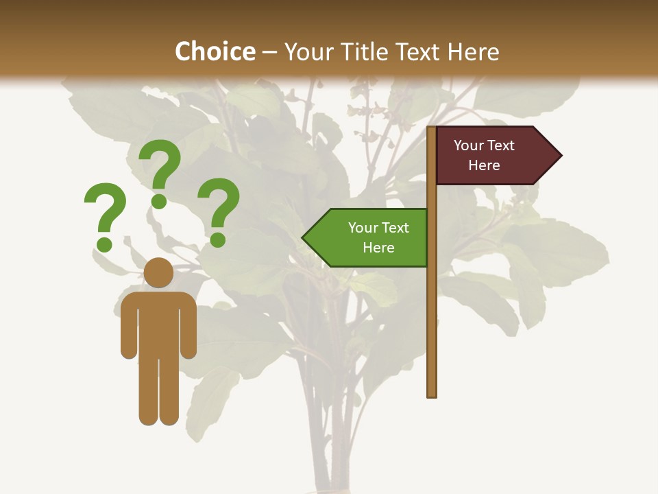 Ayurvedic Stem India PowerPoint Template