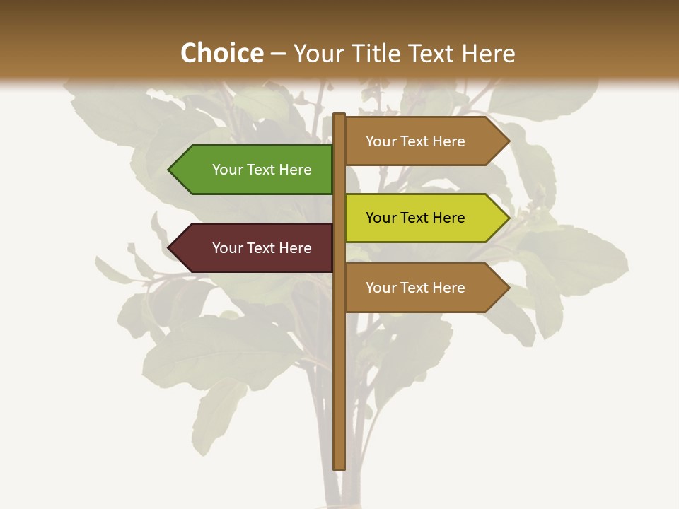 Ayurvedic Stem India PowerPoint Template