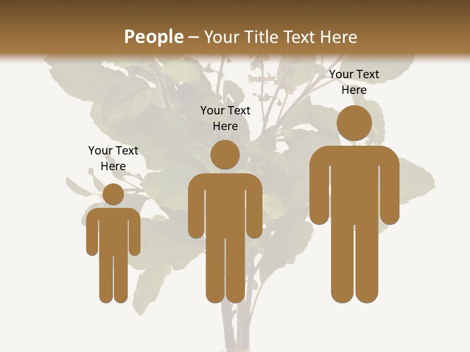 Ayurvedic Stem India PowerPoint Template