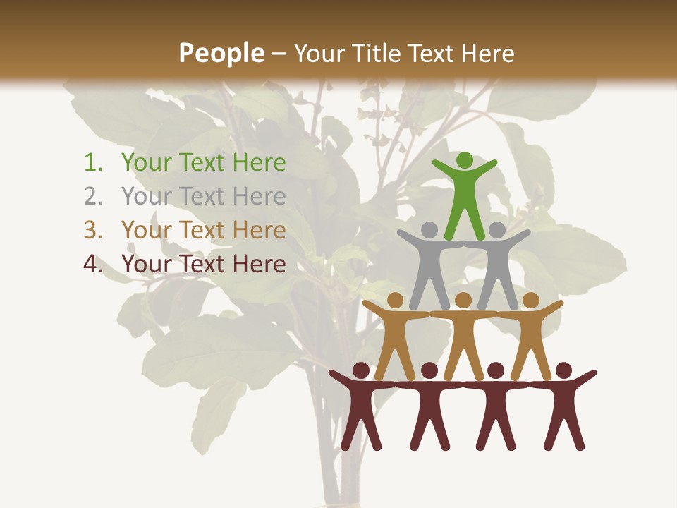 Ayurvedic Stem India PowerPoint Template