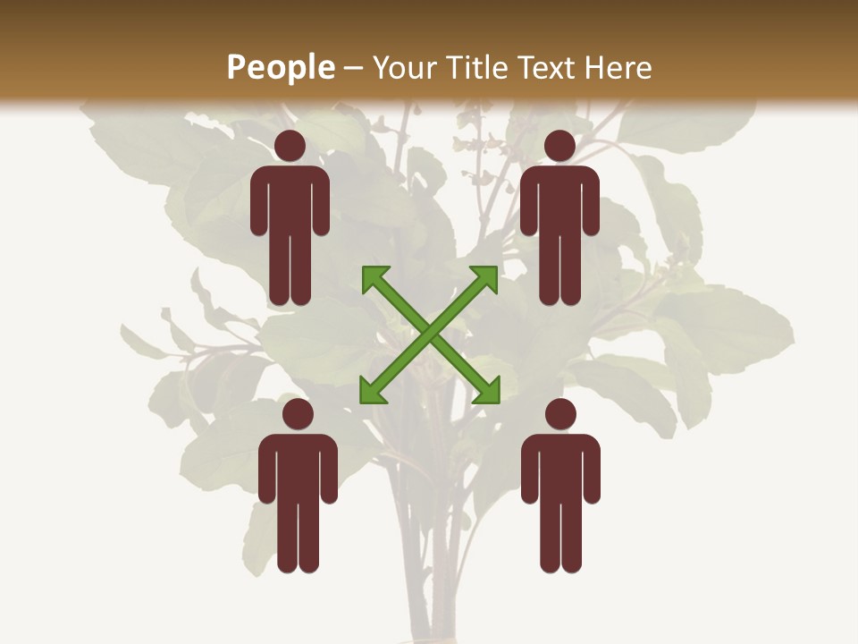 Ayurvedic Stem India PowerPoint Template