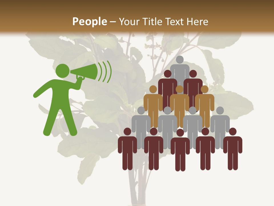 Ayurvedic Stem India PowerPoint Template