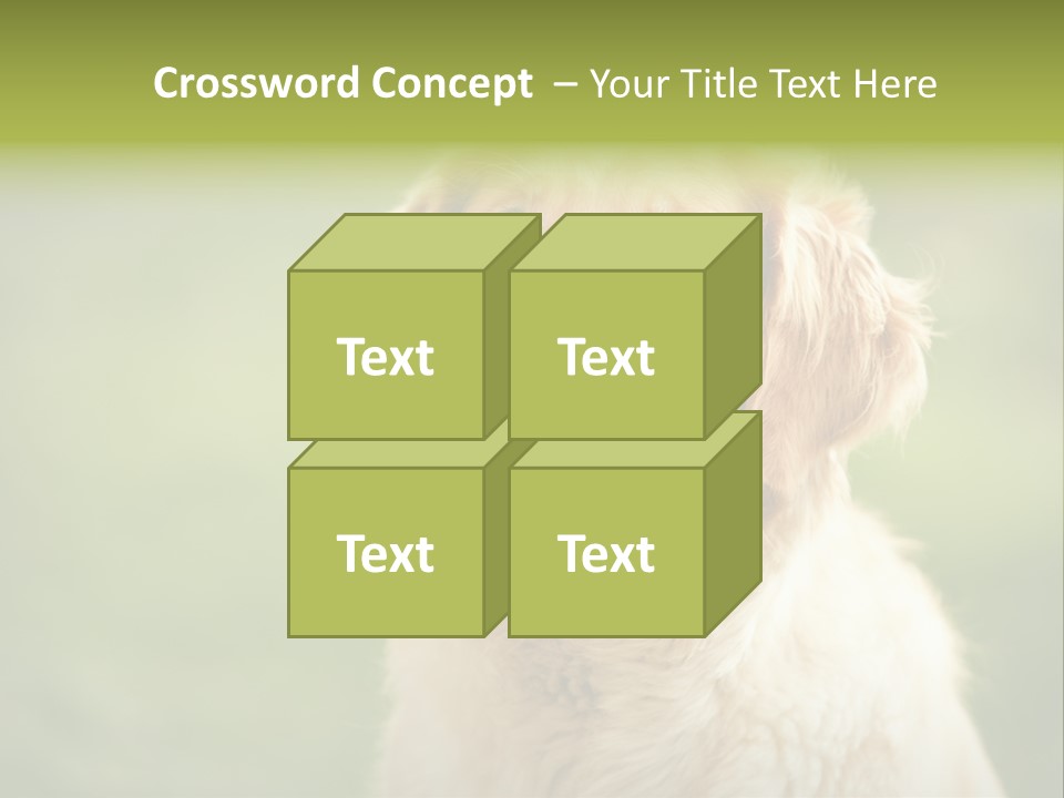Facial Purebred Day PowerPoint Template