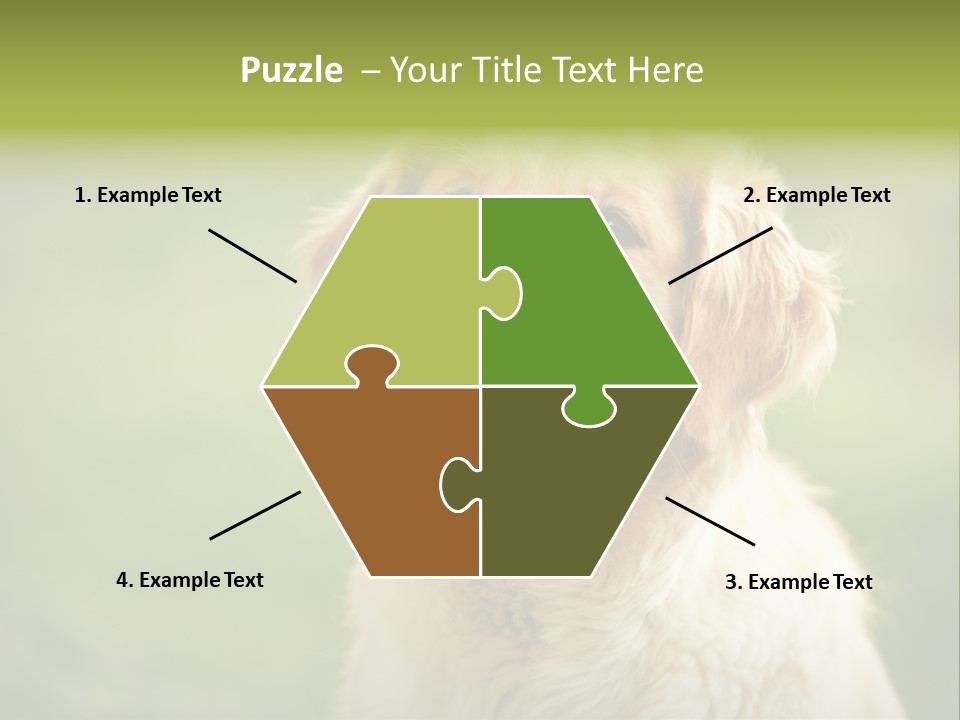 Facial Purebred Day PowerPoint Template