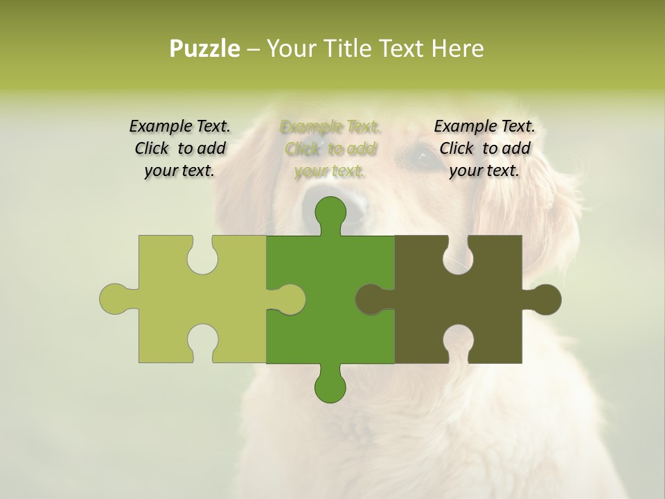 Facial Purebred Day PowerPoint Template