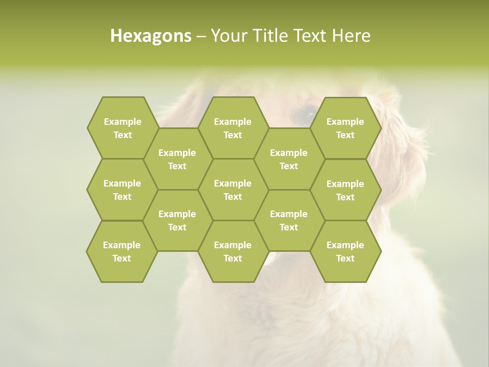 Facial Purebred Day PowerPoint Template