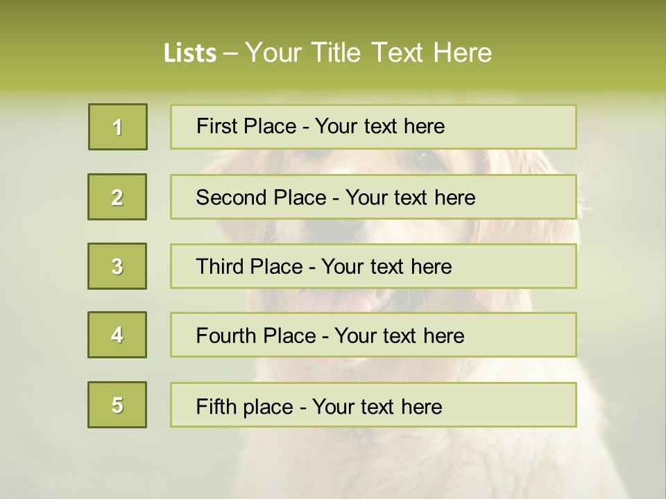 Facial Purebred Day PowerPoint Template