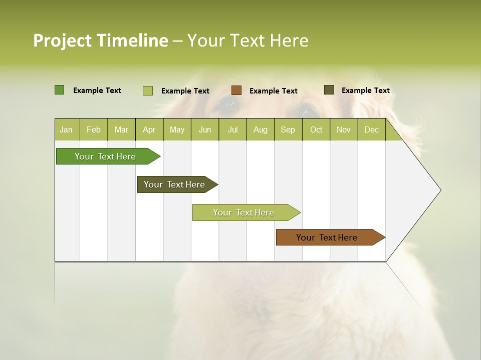 Facial Purebred Day PowerPoint Template