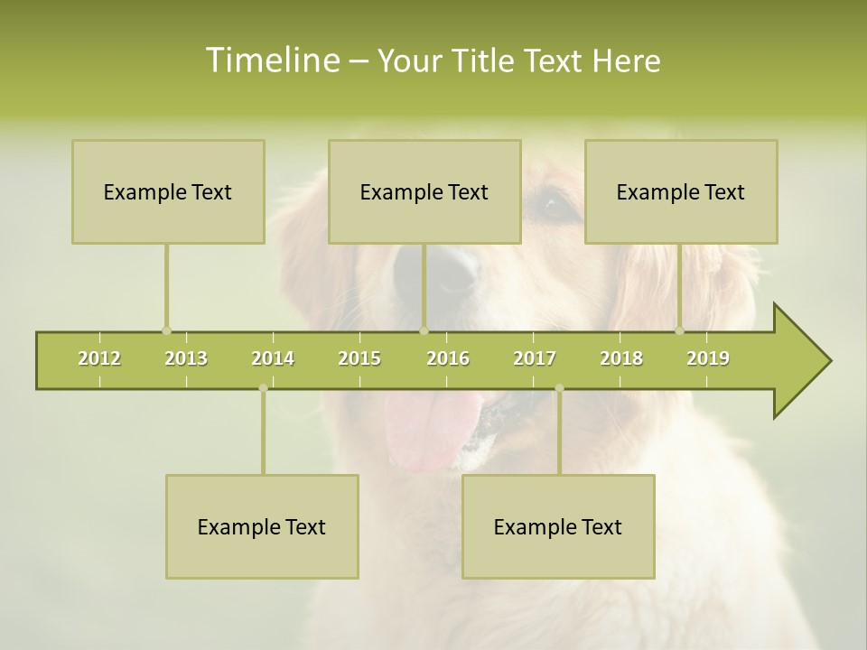 Facial Purebred Day PowerPoint Template