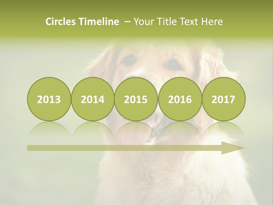 Facial Purebred Day PowerPoint Template