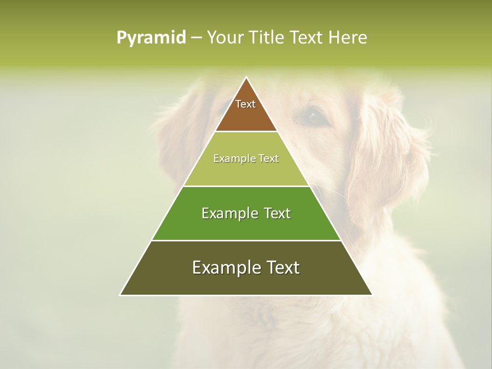 Facial Purebred Day PowerPoint Template