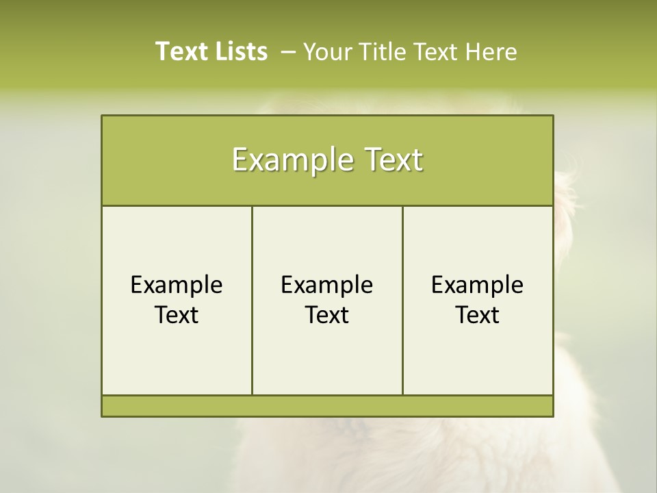 Facial Purebred Day PowerPoint Template