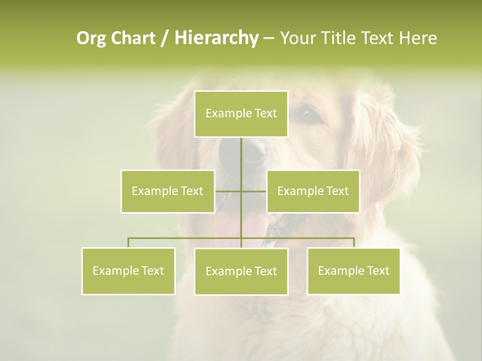 Facial Purebred Day PowerPoint Template