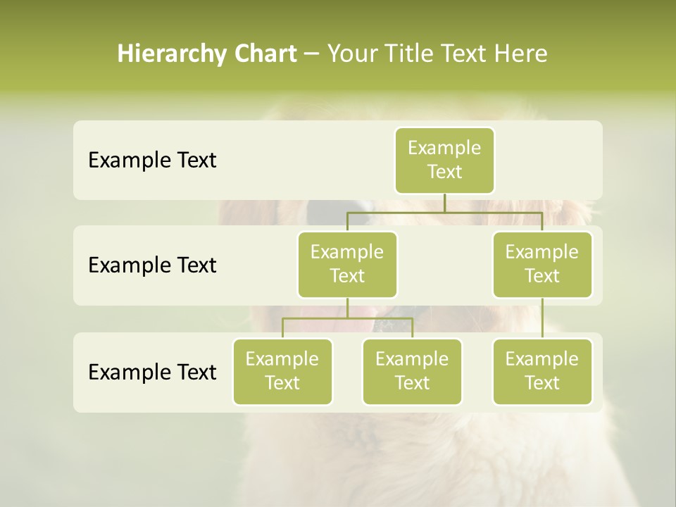 Facial Purebred Day PowerPoint Template