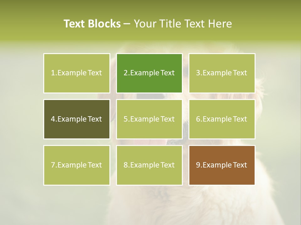 Facial Purebred Day PowerPoint Template