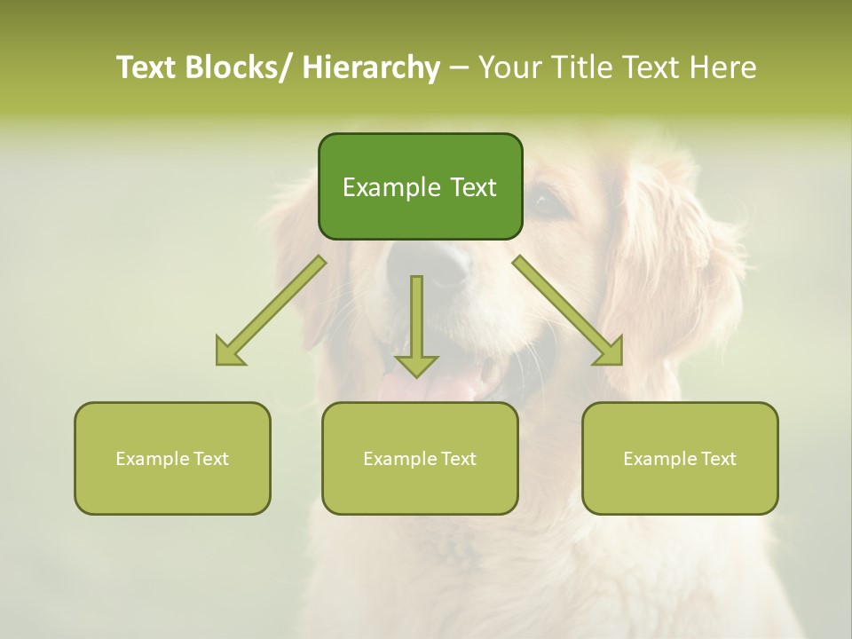 Facial Purebred Day PowerPoint Template