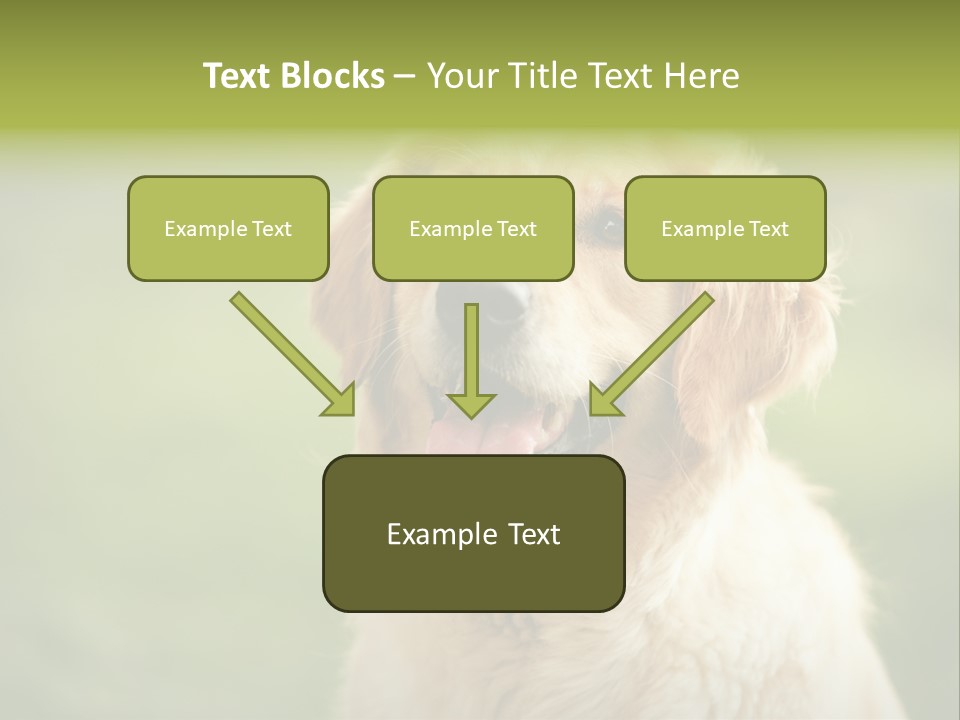 Facial Purebred Day PowerPoint Template