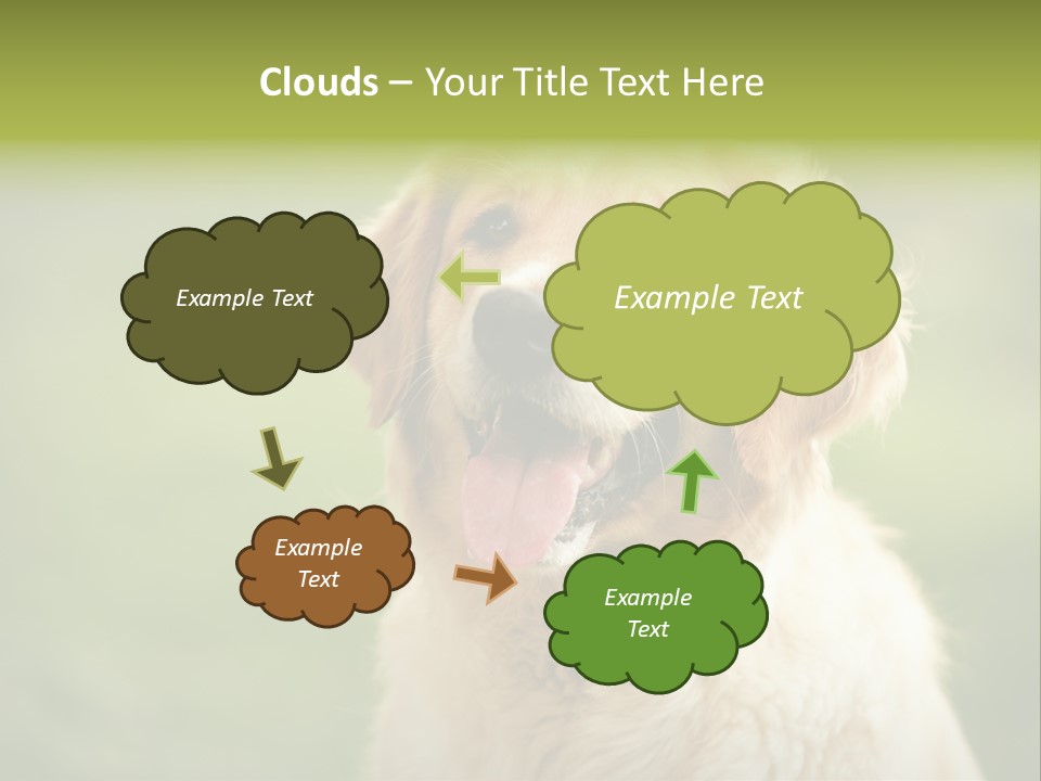 Facial Purebred Day PowerPoint Template