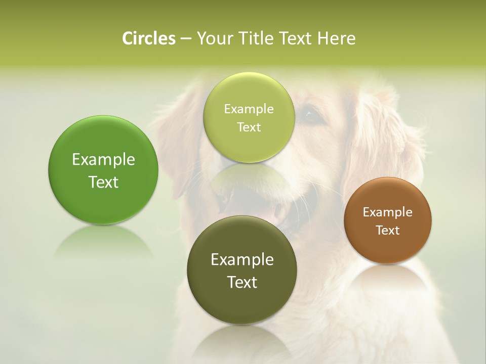 Facial Purebred Day PowerPoint Template