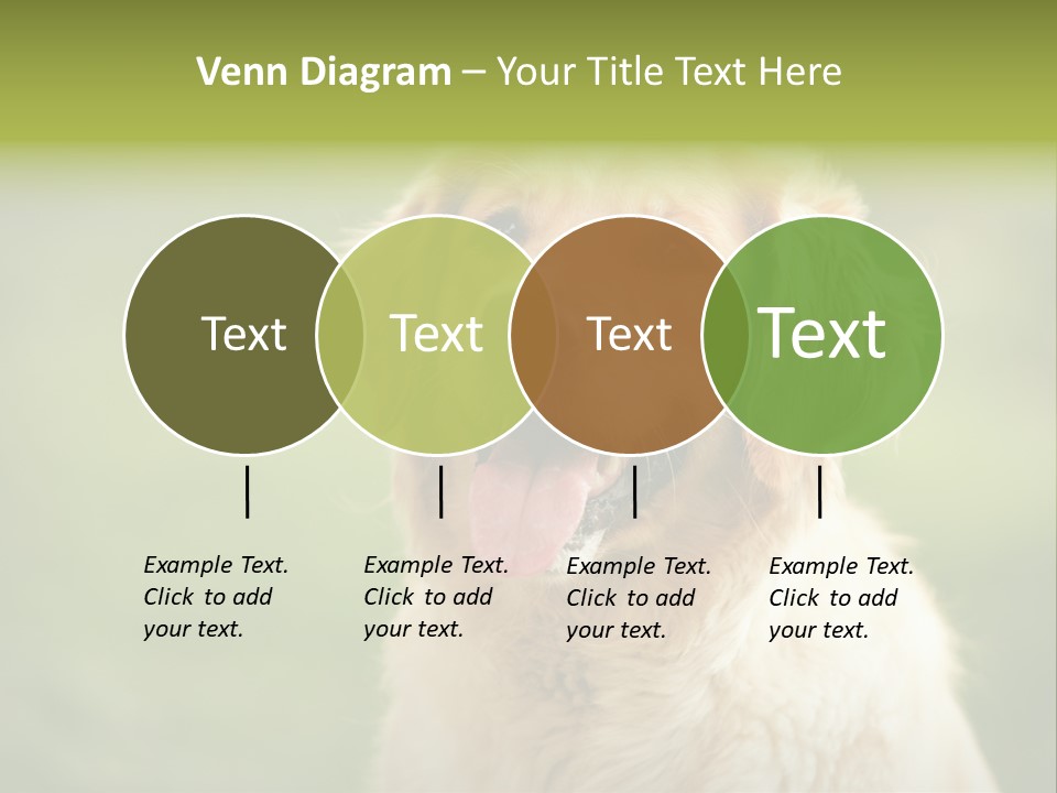 Facial Purebred Day PowerPoint Template