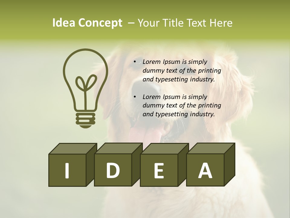 Facial Purebred Day PowerPoint Template