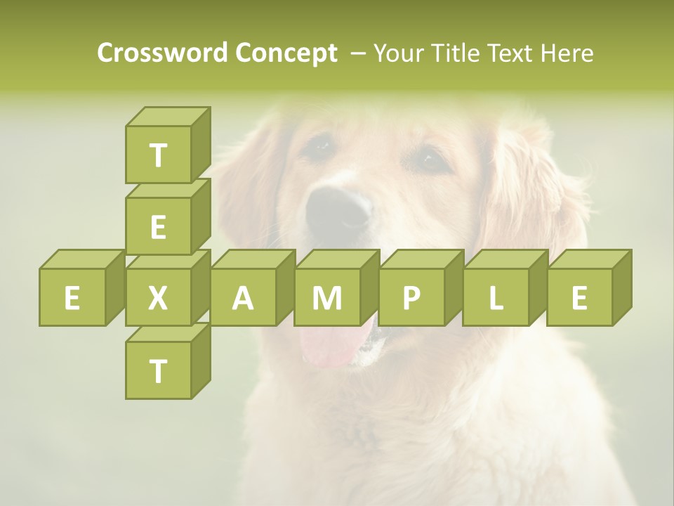 Facial Purebred Day PowerPoint Template