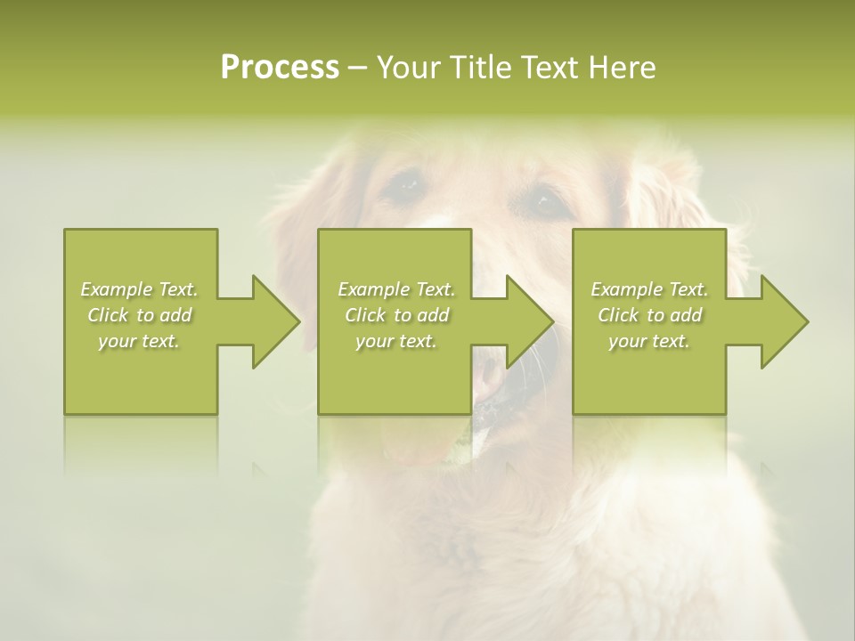 Facial Purebred Day PowerPoint Template