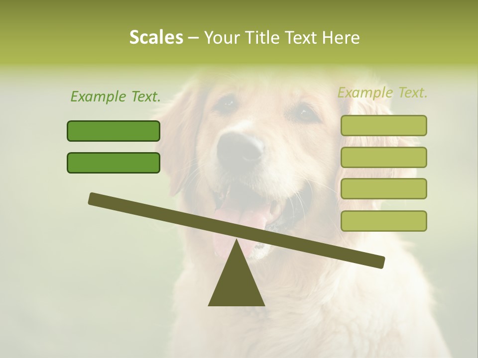 Facial Purebred Day PowerPoint Template