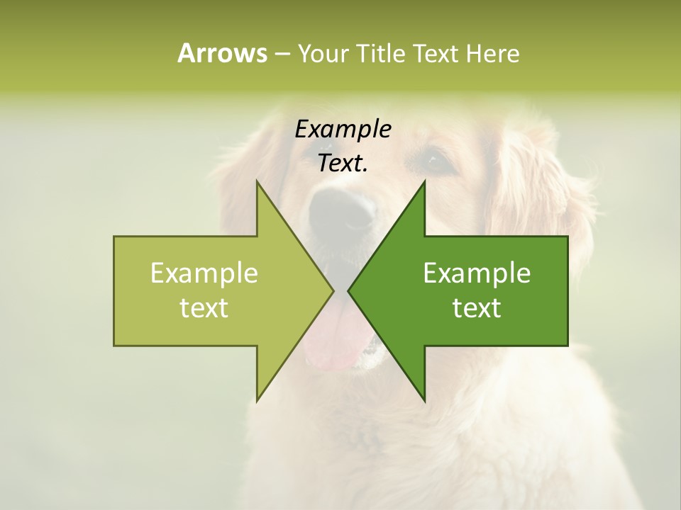 Facial Purebred Day PowerPoint Template