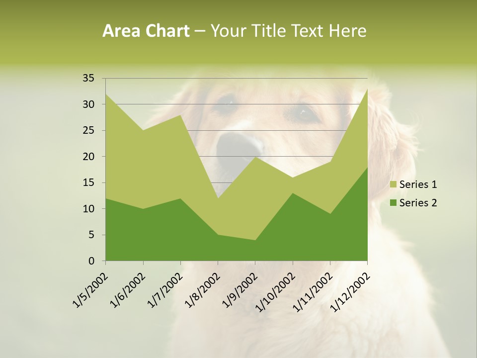 Facial Purebred Day PowerPoint Template