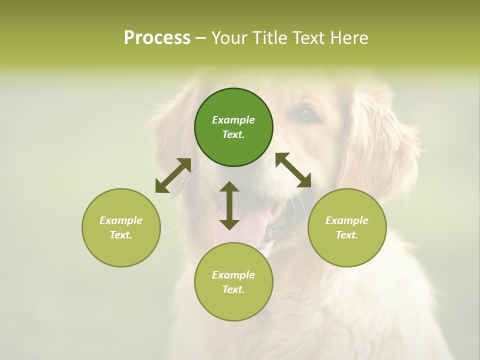 Facial Purebred Day PowerPoint Template