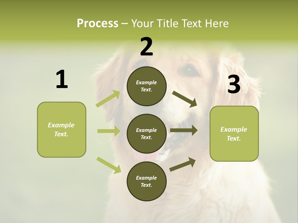 Facial Purebred Day PowerPoint Template