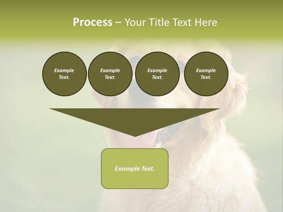 Facial Purebred Day PowerPoint Template