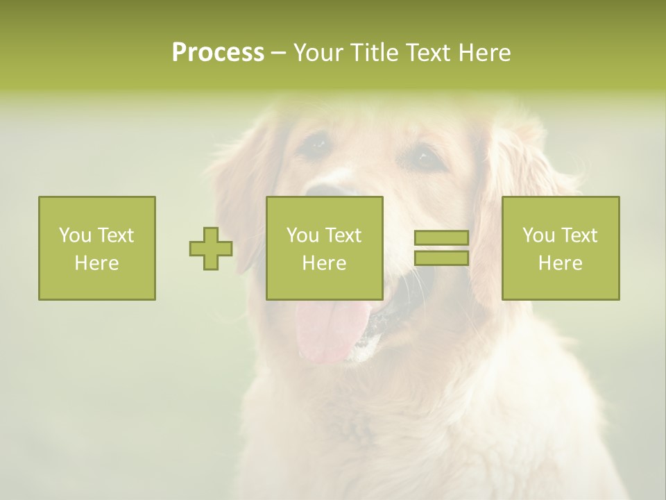 Facial Purebred Day PowerPoint Template