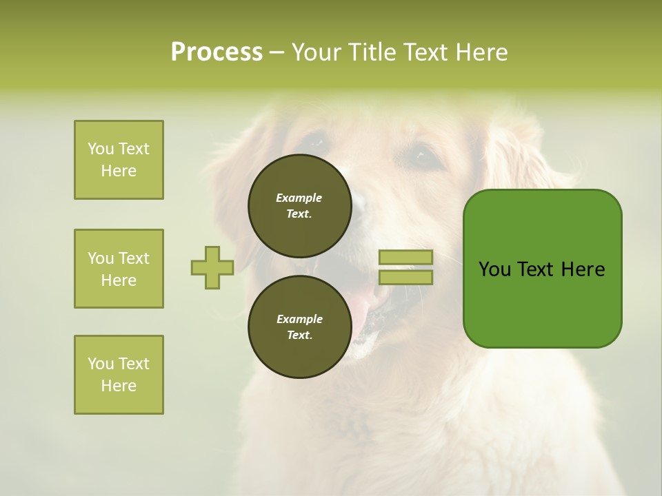 Facial Purebred Day PowerPoint Template