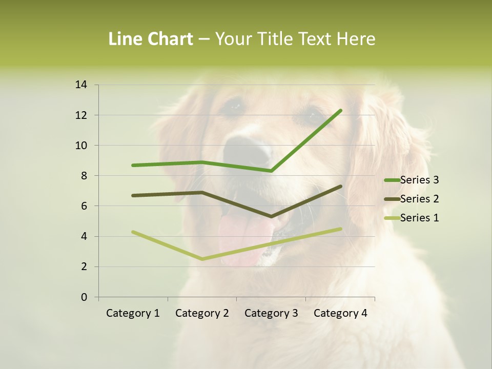 Facial Purebred Day PowerPoint Template