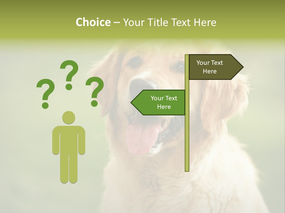 Facial Purebred Day PowerPoint Template